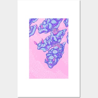 Ceratoma Sinuata Pink and Blue Posters and Art